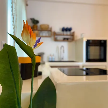 Nyaraló Cycladic The House