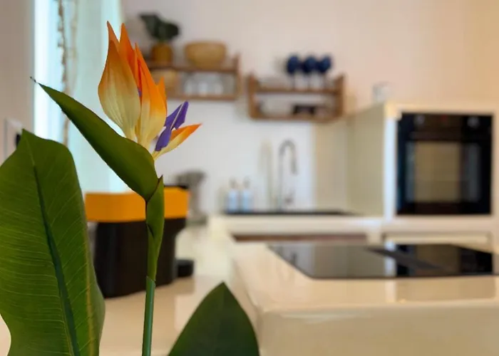 Дом отдыха Cycladic The House